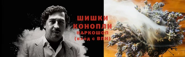 дмт Новокубанск