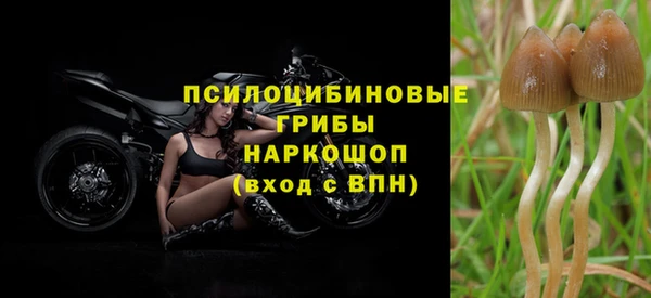 дмт Новокубанск