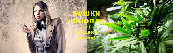 не бодяженный Новодвинск