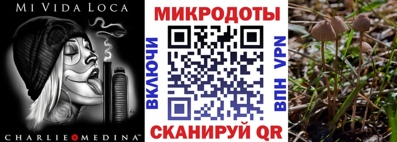 дарнет шоп  Сызрань  Галлюциногенные грибы MAGIC MUSHROOMS 