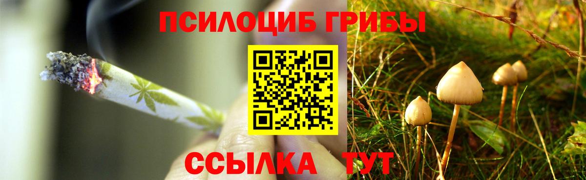 Сызрань  Галлюциногенные грибы GOLDEN TEACHER  Вход с VPN  Галлюциногенные грибы Cubensis 